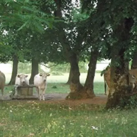 בית נופש Domaine Des Parisses - *